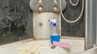 Як відмити душову кабіну від нальоту: ефективні методи та професійний підхід фото